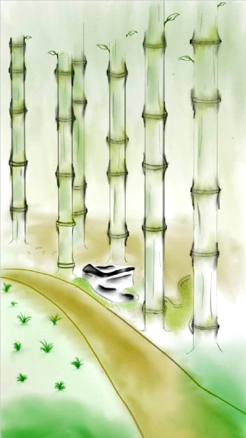 Bamboo digital illustration